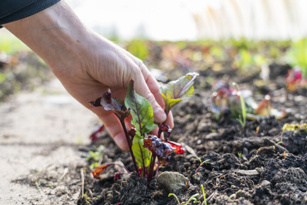 please always tag: fb @katharinabauerphotography insta @katharinabauerphoto.acroyoga