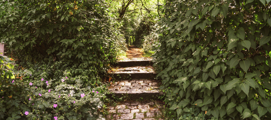 your paragraph text(7)