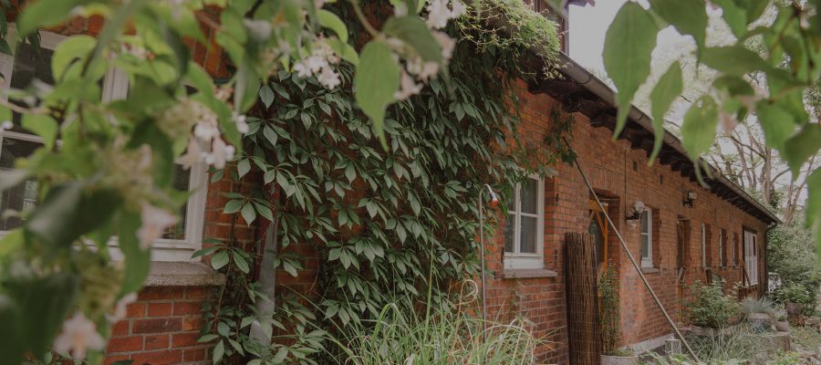 caia academy unterkunft gaestehaus bannerii